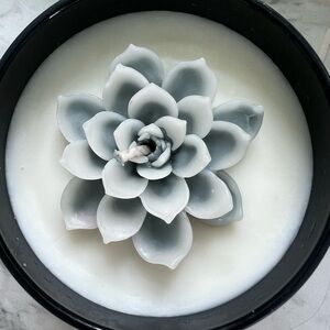 Succulent Candle (Sensual Santal)